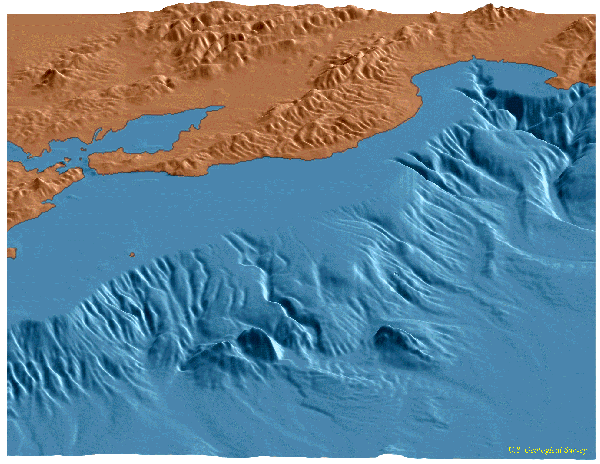 seafloor2.gif